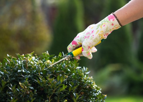 Operative preparing to trim hedge with protective gear