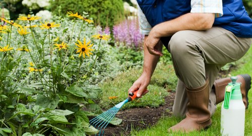 Operative preparing hedge trimming tools on site