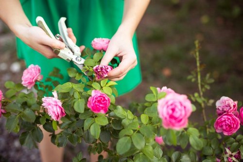 Advanced garden maintenance techniques in Hanwell