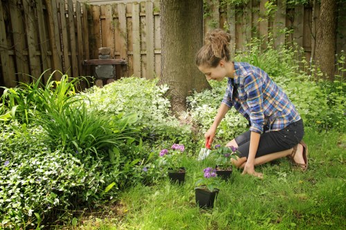 A young woman kneeling on a well-maintained grassy lawn in a garden, tending to potted flowering plants with purple blooms. The garden features a variety of lush green shrubs, ornamental plants, and a large tree with a sturdy trunk in the background. The garden is enclosed by a wooden fence, offering privacy and a natural backdrop. To the left, there are tall grass-like plants with broad leaves, while the foreground shows neatly trimmed grass and the edge of a flower bed. The sunlight filters through the trees, casting soft natural light across the scene, creating a peaceful outdoor environment ideal for gardening and landscaping activities common in Hanwell. The woman is dressed in casual clothing suitable for gardening, and a garden ornament or small barbecue is visible in the background, contributing to the garden's cultivated appearance. This scene exemplifies typical home gardening efforts within a suburban garden setting in the Hanwell area, aligning with professional gardening services such as hedge trimming and plant care provided by Hedge Trimming Hanwell.
