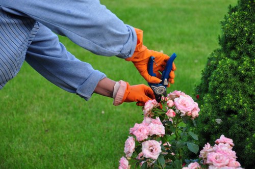 Green waste being prepared for authorised recycling in Ealing area