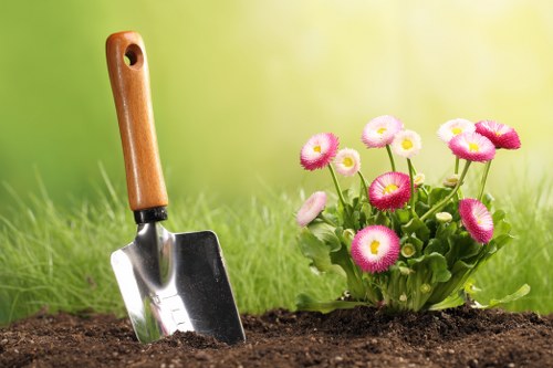 Selection of native plants for Hanwell gardens