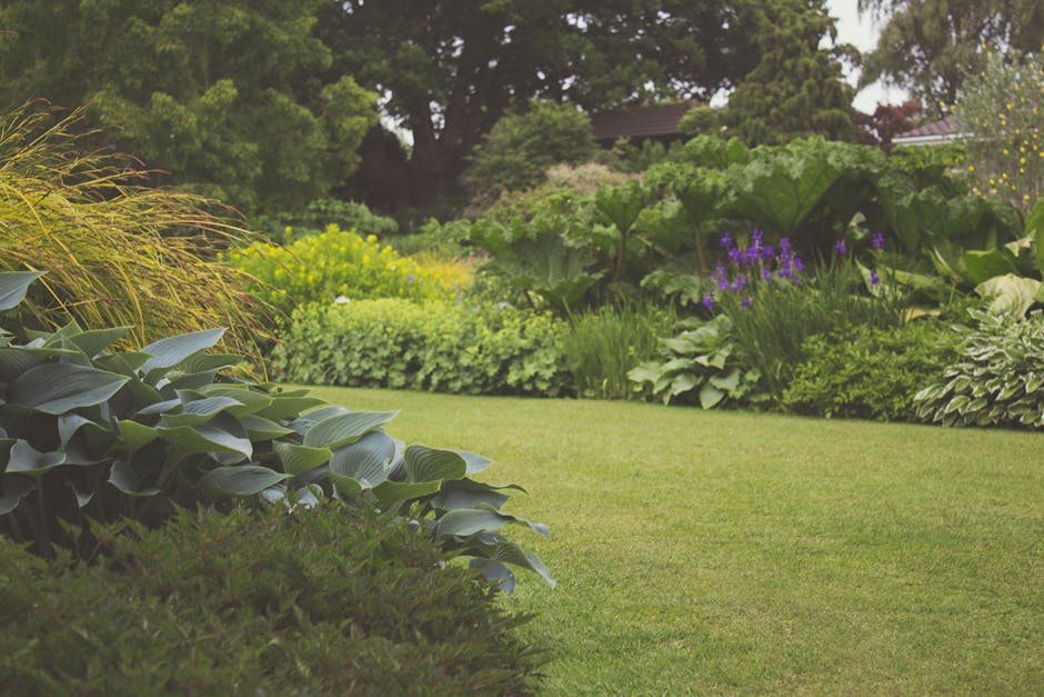 A well-maintained garden with a lush, green, neatly trimmed lawn in the foreground, bordered by a variety of plants and shrubs. On the left, there are large, dark green hosta leaves with a smooth text
